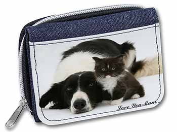 Border Collie+Kitten 