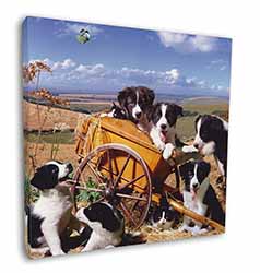 Border Collie in Wheelbarrow Square Canvas 12"x12" Wall Art Picture Print