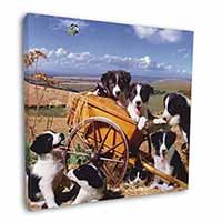 Border Collie in Wheelbarrow Square Canvas 12"x12" Wall Art Picture Print