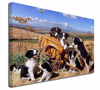 Border Collie in Wheelbarrow Canvas X-Large 30"x20" Wall Art Print