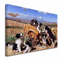 Border Collie in Wheelbarrow Canvas X-Large 30"x20" Wall Art Print