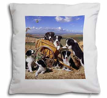 Border Collie in Wheelbarrow Soft White Velvet Feel Scatter Cushion