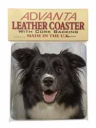 Border Collie Dog Single Leather Photo Coaster