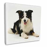 Tri-Colour Border Collie Dog Square Canvas 12"x12" Wall Art Picture Print