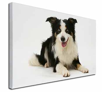 Tri-Colour Border Collie Dog Canvas X-Large 30"x20" Wall Art Print