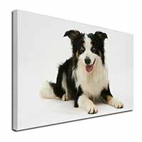 Tri-Colour Border Collie Dog Canvas X-Large 30"x20" Wall Art Print