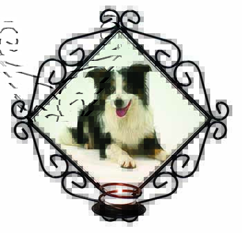 Tri-Colour Border Collie Dog Wrought Iron Wall Art Candle Holder
