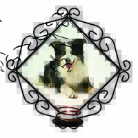 Tri-Colour Border Collie Dog Wrought Iron Wall Art Candle Holder