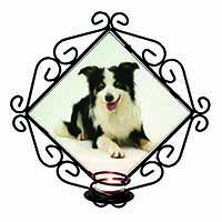 Tri-Colour Border Collie Dog Wrought Iron Wall Art Candle Holder