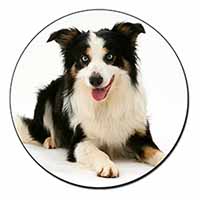 Tri-Colour Border Collie Dog Fridge Magnet Printed Full Colour