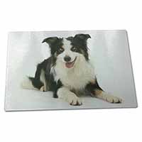 Large Glass Cutting Chopping Board Tri-Colour Border Collie Dog