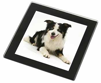 Tri-Colour Border Collie Dog Black Rim High Quality Glass Coaster