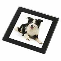 Tri-Colour Border Collie Dog Black Rim High Quality Glass Coaster