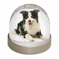Tri-Colour Border Collie Dog Snow Globe Photo Waterball