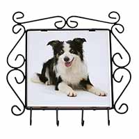 Tri-Colour Border Collie Dog Wrought Iron Key Holder Hooks