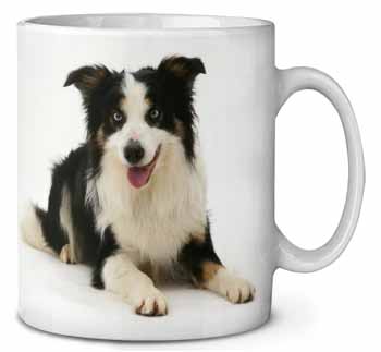 Tri-Colour Border Collie Dog Ceramic 10oz Coffee Mug/Tea Cup