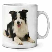 Tri-Colour Border Collie Dog Ceramic 10oz Coffee Mug/Tea Cup Printed Full Colour - Advanta Group®