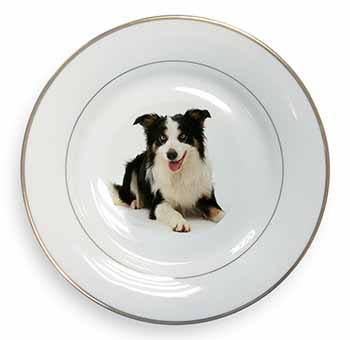 Tri-Colour Border Collie Dog Gold Rim Plate Printed Full Colour in Gift Box