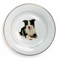 Tri-Colour Border Collie Dog Gold Rim Plate Printed Full Colour in Gift Box