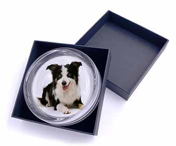 Tri-Colour Border Collie Dog Glass Paperweight in Gift Box