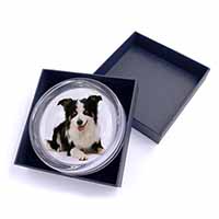 Tri-Colour Border Collie Dog Glass Paperweight in Gift Box