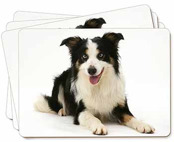 Tri-Colour Border Collie Dog Picture Placemats in Gift Box