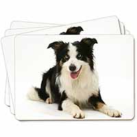 Tri-Colour Border Collie Dog Picture Placemats in Gift Box - Advanta Group®