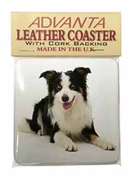 Tri-Colour Border Collie Dog Single Leather Photo Coaster