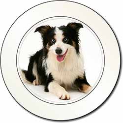 Tri-Colour Border Collie Dog Car or Van Permit Holder/Tax Disc Holder