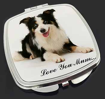 Tri-Colour Border Collie 