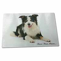 Large Glass Cutting Chopping Board Tri-Colour Border Collie 