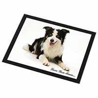 Tri-Colour Border Collie 