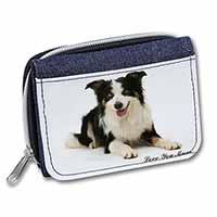 Tri-Colour Border Collie 