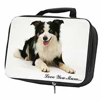 Tri-Colour Border Collie 