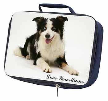 Tri-Colour Border Collie 