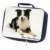 Tri-Colour Border Collie 