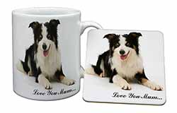 Tri-Colour Border Collie 