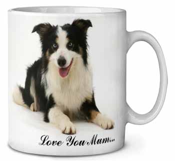 Tri-Colour Border Collie 