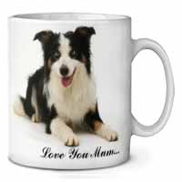 Tri-Colour Border Collie 