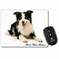 Tri-Colour Border Collie 