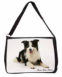 Tri-Colour Border Collie 