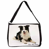 Tri-Colour Border Collie 