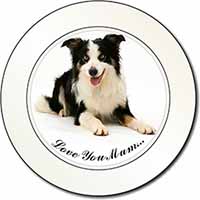 Tri-Colour Border Collie 