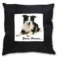 Border Collie Dog 