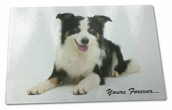 Large Glass Cutting Chopping Board Border Collie Dog 