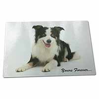 Large Glass Cutting Chopping Board Border Collie Dog 