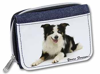 Border Collie Dog 