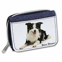 Border Collie Dog 