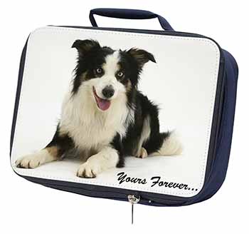 Border Collie Dog 