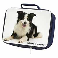 Border Collie Dog 